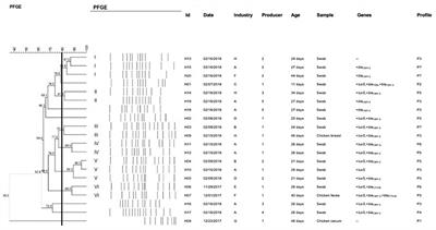 Molecular Characterization and Survive Abilities of Salmonella Heidelberg Strains of Poultry Origin in Brazil